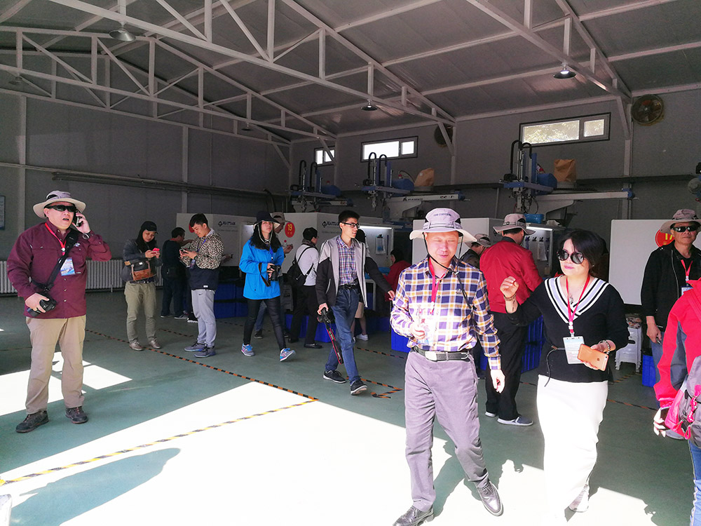 元?jiǎng)P冬蟲(chóng)夏草